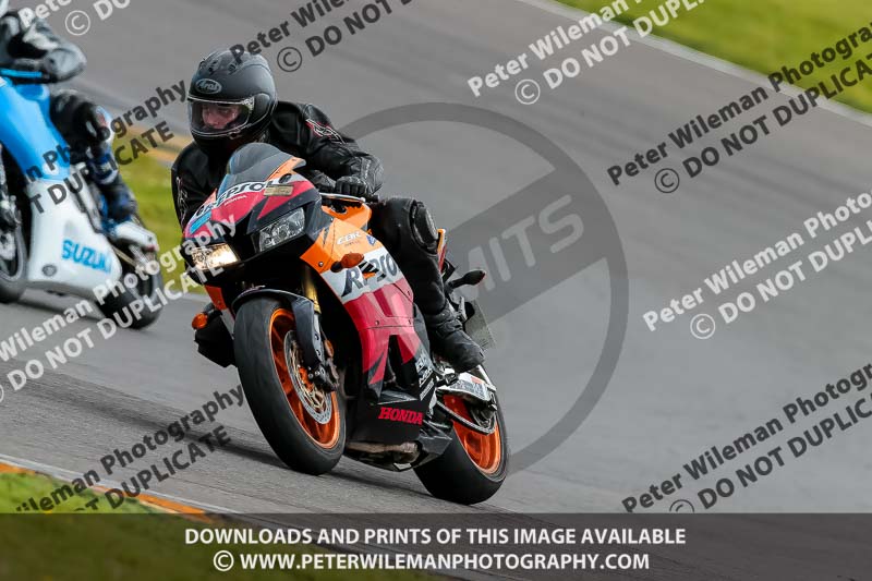 PJ Motorsport 2019;anglesey no limits trackday;anglesey photographs;anglesey trackday photographs;enduro digital images;event digital images;eventdigitalimages;no limits trackdays;peter wileman photography;racing digital images;trac mon;trackday digital images;trackday photos;ty croes